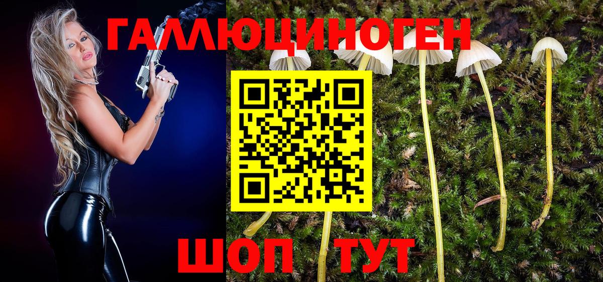 Псилоцибиновые грибы мицелий Альметьевск